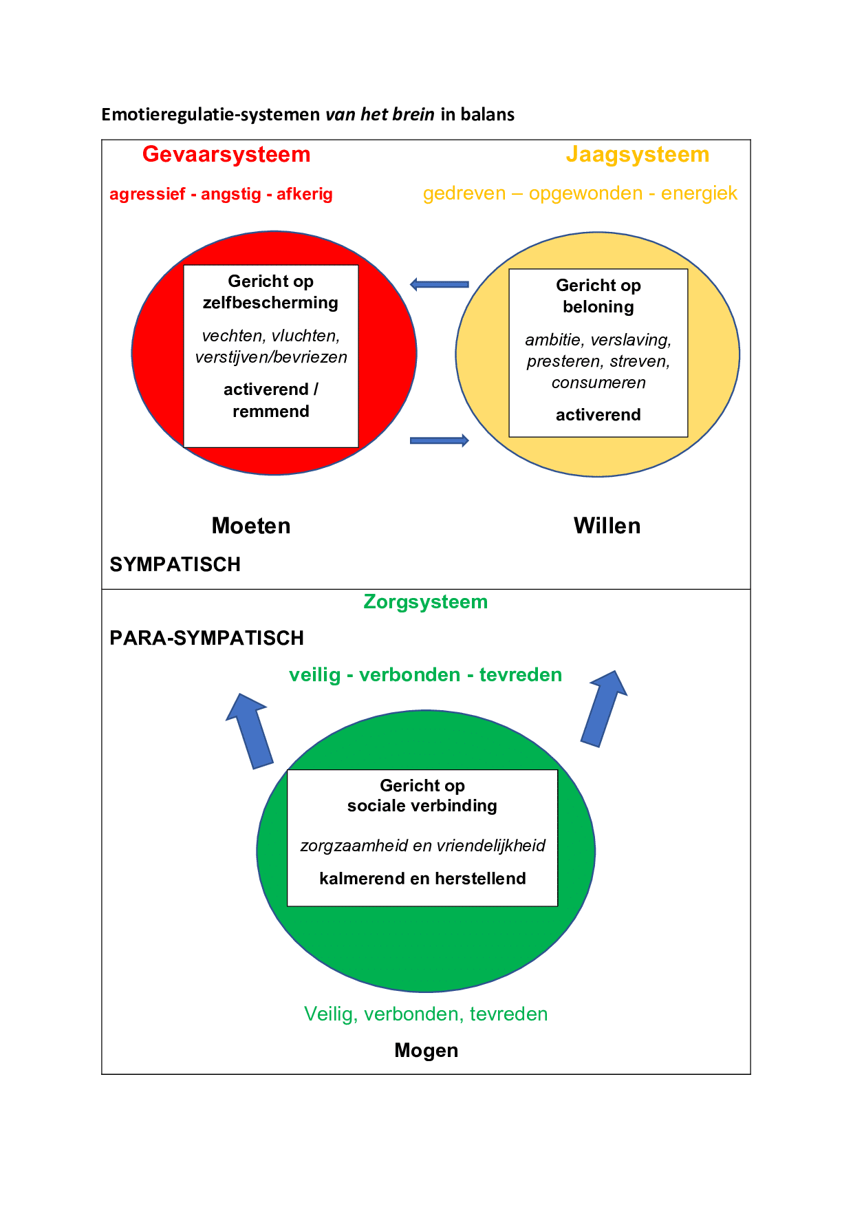 Is jouw gevaar-, jaag- of zelfzorgsysteem dominant?